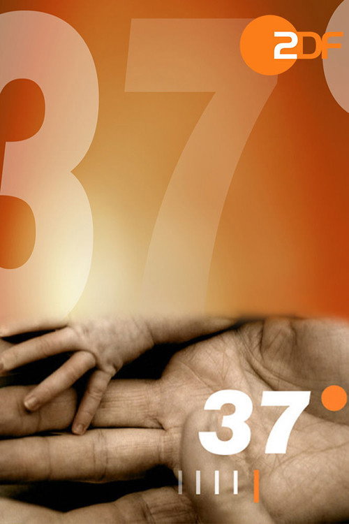 Постер сериала 37 Grad