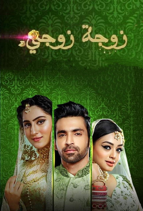Постер сериала Bahu Begum