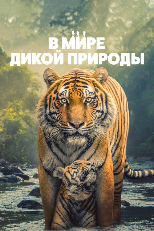 В мире дикой природы