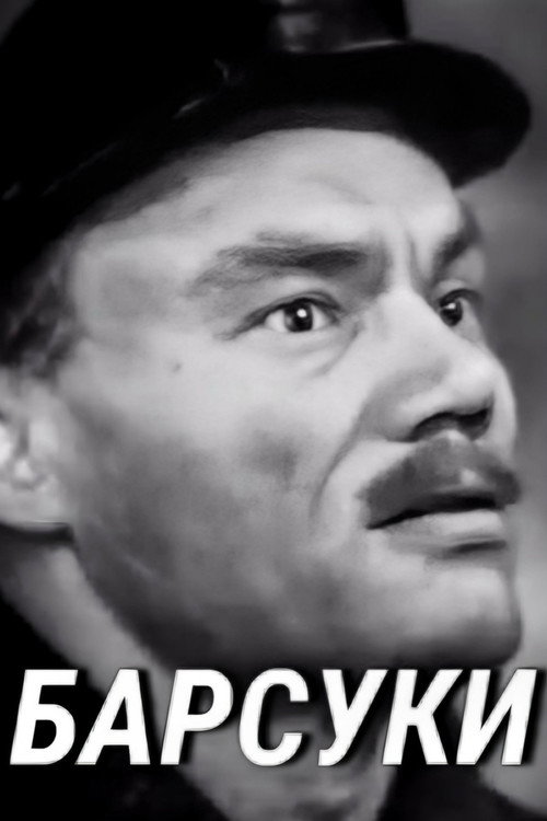 Постер сериала Барсуки