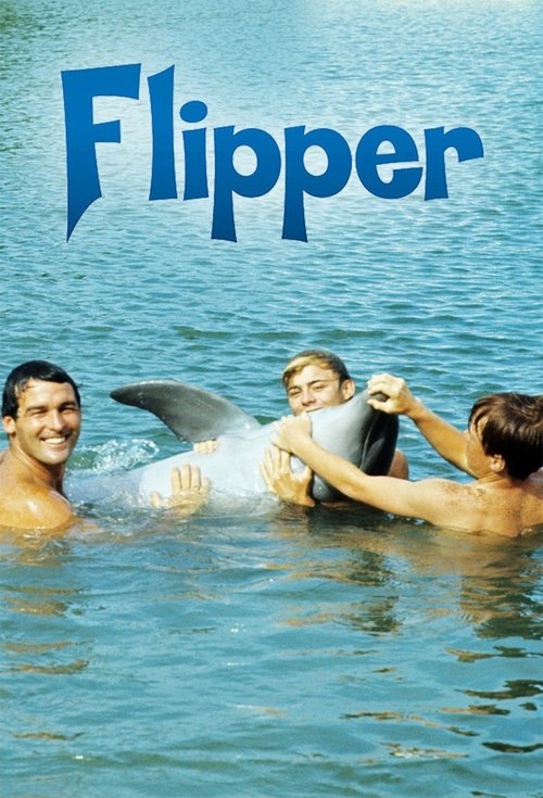 Постер сериала Флиппер