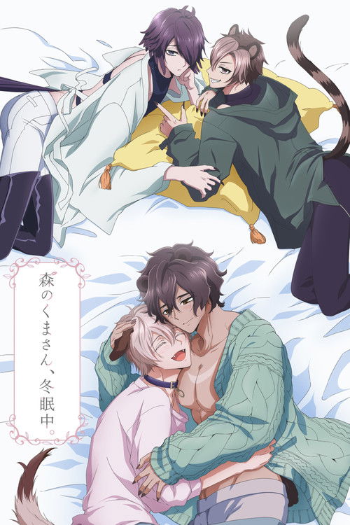 Постер сериала 森のくまさん、冬眠中。