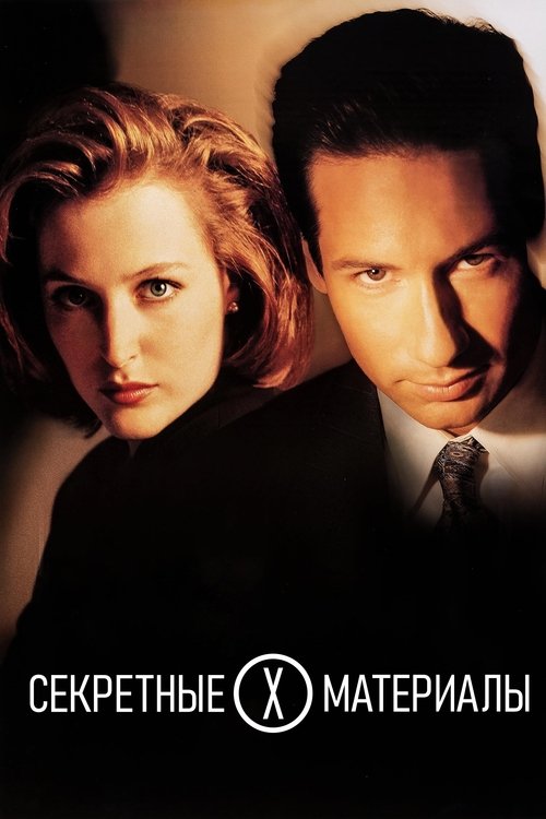 Постер сериала Секретные материалы