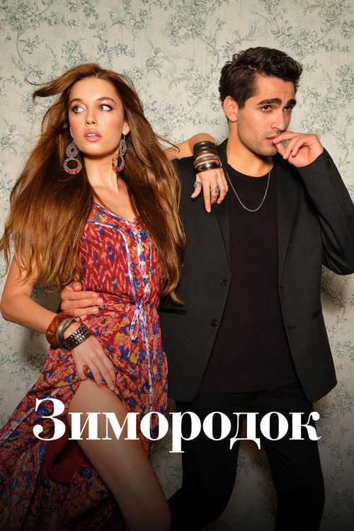 Постер сериала Зимородок